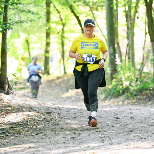 28.09.2025 - 33. Volkslauf durch das schöne Alstertal Dr. Thomas Lammeyer http://msf.ph/oto/8963963 28.09.2025 11:18:11 Laufen 3911 meine-sportfotos.de