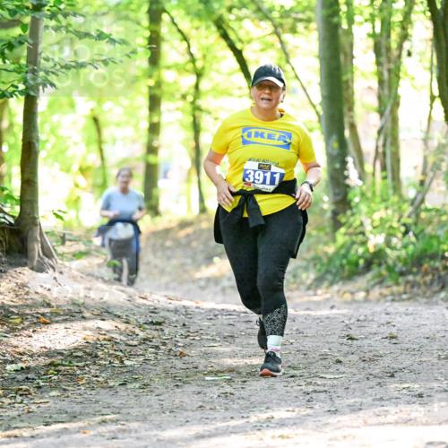 28.09.2025 - 33. Volkslauf durch das schöne Alstertal Dr. Thomas Lammeyer http://msf.ph/oto/8963964 28.09.2025 11:18:11 Laufen 3911 meine-sportfotos.de
