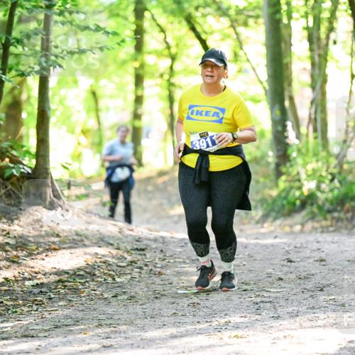 28.09.2025 - 33. Volkslauf durch das schöne Alstertal Dr. Thomas Lammeyer http://msf.ph/oto/8963965 28.09.2025 11:18:11 Laufen 391 meine-sportfotos.de