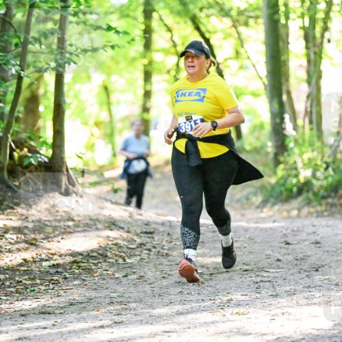 28.09.2025 - 33. Volkslauf durch das schöne Alstertal Dr. Thomas Lammeyer http://msf.ph/oto/8963966 28.09.2025 11:18:11 Laufen 391 meine-sportfotos.de