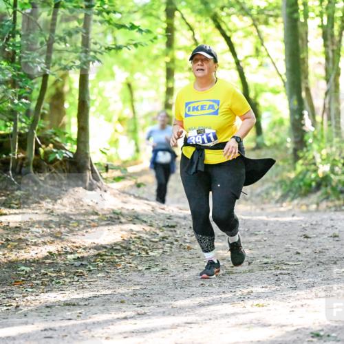 28.09.2025 - 33. Volkslauf durch das schöne Alstertal Dr. Thomas Lammeyer http://msf.ph/oto/8963967 28.09.2025 11:18:11 Laufen 3911 meine-sportfotos.de