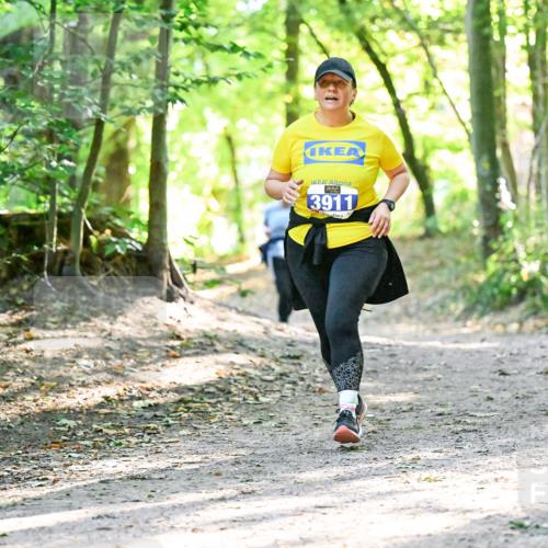 28.09.2025 - 33. Volkslauf durch das schöne Alstertal Dr. Thomas Lammeyer http://msf.ph/oto/8963968 28.09.2025 11:18:12 Laufen 3911 meine-sportfotos.de