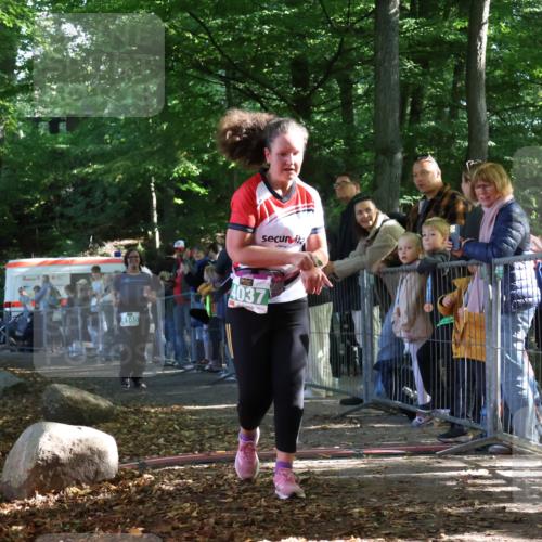 28.09.2025 - 33. Volkslauf durch das schöne Alstertal Strokosch-Dieckow http://msf.ph/oto/8963969 28.09.2025 11:09:21 Ziel 4037, 4145 meine-sportfotos.de