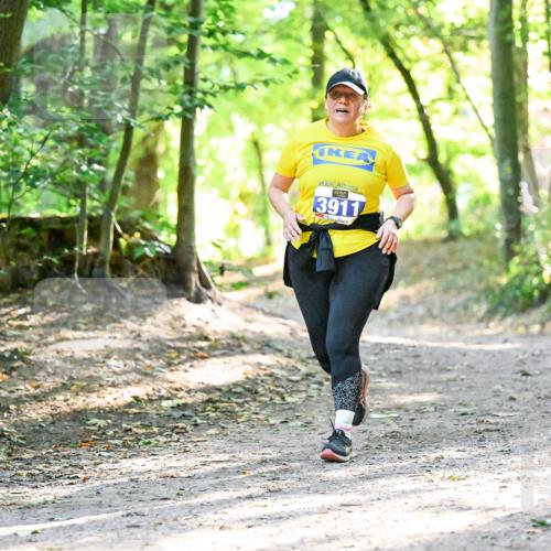 28.09.2025 - 33. Volkslauf durch das schöne Alstertal Dr. Thomas Lammeyer http://msf.ph/oto/8963970 28.09.2025 11:18:12 Laufen 3911 meine-sportfotos.de