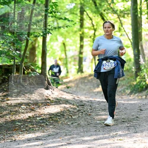 28.09.2025 - 33. Volkslauf durch das schöne Alstertal Dr. Thomas Lammeyer http://msf.ph/oto/8964001 28.09.2025 11:18:17 Laufen 3269 meine-sportfotos.de