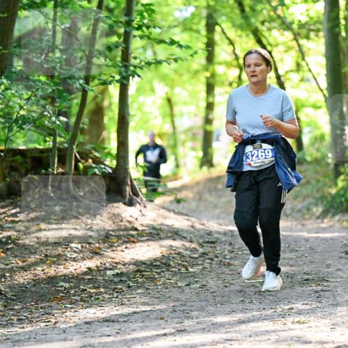 28.09.2025 - 33. Volkslauf durch das schöne Alstertal Dr. Thomas Lammeyer http://msf.ph/oto/8964002 28.09.2025 11:18:18 Laufen 3269 meine-sportfotos.de
