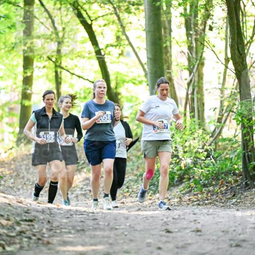 28.09.2025 - 33. Volkslauf durch das schöne Alstertal Dr. Thomas Lammeyer http://msf.ph/oto/8964050 28.09.2025 11:18:41 Laufen 195, 058, 387 meine-sportfotos.de