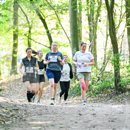 28.09.2025 - 33. Volkslauf durch das schöne Alstertal Dr. Thomas Lammeyer http://msf.ph/oto/8964053 28.09.2025 11:18:42 Laufen 3195, 3243, 3058, 30 meine-sportfotos.de
