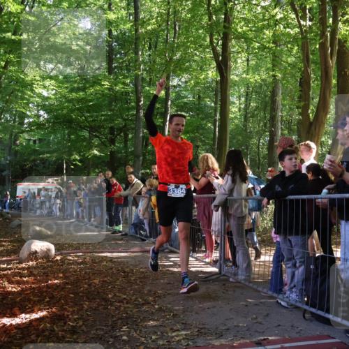 28.09.2025 - 33. Volkslauf durch das schöne Alstertal Strokosch-Dieckow http://msf.ph/oto/8964062 28.09.2025 11:09:58 Ziel 3384 meine-sportfotos.de