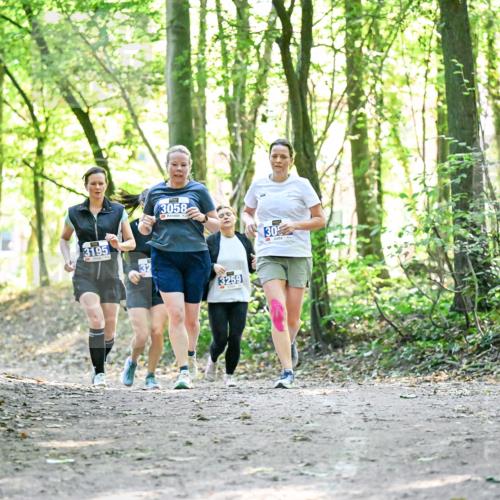 28.09.2025 - 33. Volkslauf durch das schöne Alstertal Dr. Thomas Lammeyer http://msf.ph/oto/8964064 28.09.2025 11:18:43 Laufen 3195, 3058, 3259, 30 meine-sportfotos.de