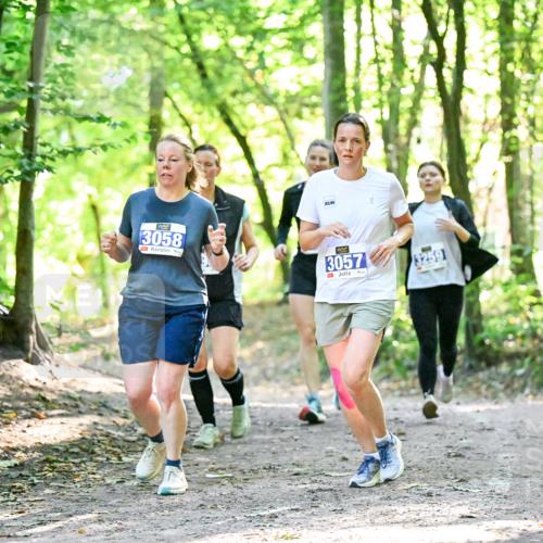 28.09.2025 - 33. Volkslauf durch das schöne Alstertal Dr. Thomas Lammeyer http://msf.ph/oto/8964084 28.09.2025 11:18:46 Laufen 3058, 3057, 3259 meine-sportfotos.de