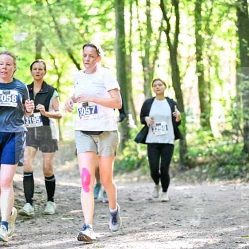 28.09.2025 - 33. Volkslauf durch das schöne Alstertal Dr. Thomas Lammeyer http://msf.ph/oto/8964088 28.09.2025 11:18:46 Laufen 3058, 3195, 3057, 3259 meine-sportfotos.de
