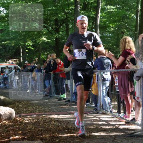 28.09.2025 - 33. Volkslauf durch das schöne Alstertal Strokosch-Dieckow http://msf.ph/oto/8964096 28.09.2025 11:10:17 Ziel 3902 meine-sportfotos.de