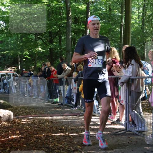 28.09.2025 - 33. Volkslauf durch das schöne Alstertal Strokosch-Dieckow http://msf.ph/oto/8964100 28.09.2025 11:10:17 Ziel 3902 meine-sportfotos.de