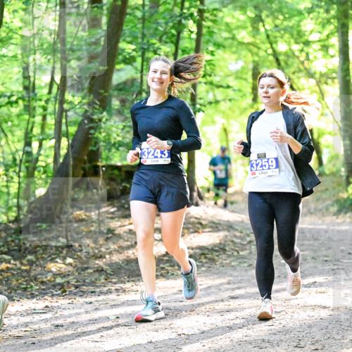 28.09.2025 - 33. Volkslauf durch das schöne Alstertal Dr. Thomas Lammeyer http://msf.ph/oto/8964103 28.09.2025 11:18:49 Laufen 3195, 3243, 3259 meine-sportfotos.de