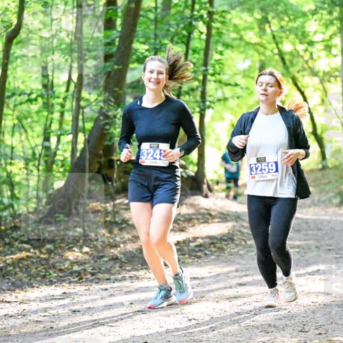 28.09.2025 - 33. Volkslauf durch das schöne Alstertal Dr. Thomas Lammeyer http://msf.ph/oto/8964104 28.09.2025 11:18:49 Laufen 195, 324, 3259 meine-sportfotos.de