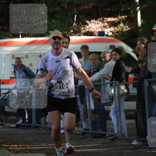 28.09.2025 - 33. Volkslauf durch das schöne Alstertal Strokosch-Dieckow http://msf.ph/oto/8964112 28.09.2025 11:10:48 Ziel 3908, 3910 meine-sportfotos.de