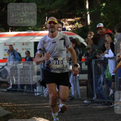 28.09.2025 - 33. Volkslauf durch das schöne Alstertal Strokosch-Dieckow http://msf.ph/oto/8964117 28.09.2025 11:10:49 Ziel 3908, 3910 meine-sportfotos.de