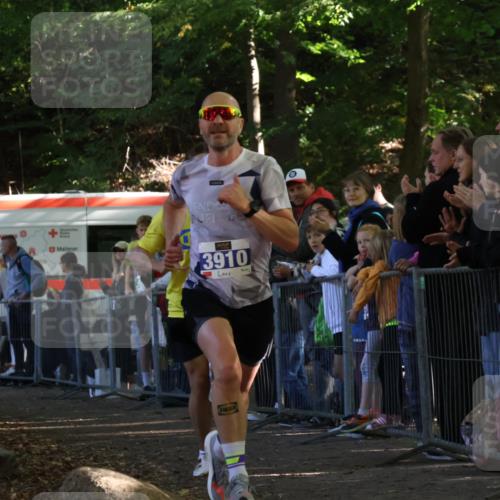 28.09.2025 - 33. Volkslauf durch das schöne Alstertal Strokosch-Dieckow http://msf.ph/oto/8964122 28.09.2025 11:10:49 Ziel 3908, 3910 meine-sportfotos.de
