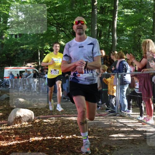 28.09.2025 - 33. Volkslauf durch das schöne Alstertal Strokosch-Dieckow http://msf.ph/oto/8964142 28.09.2025 11:10:51 Ziel 3908, 3910 meine-sportfotos.de