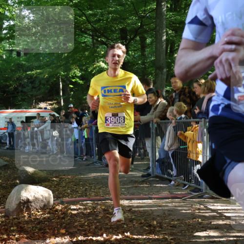 28.09.2025 - 33. Volkslauf durch das schöne Alstertal Strokosch-Dieckow http://msf.ph/oto/8964147 28.09.2025 11:10:51 Ziel 3908, 3910 meine-sportfotos.de