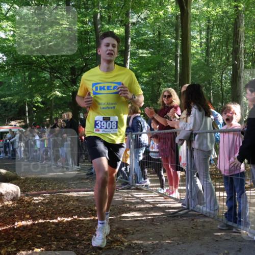 28.09.2025 - 33. Volkslauf durch das schöne Alstertal Strokosch-Dieckow http://msf.ph/oto/8964153 28.09.2025 11:10:52 Ziel 3908 meine-sportfotos.de