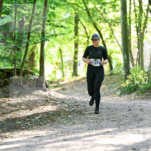 28.09.2025 - 33. Volkslauf durch das schöne Alstertal Dr. Thomas Lammeyer http://msf.ph/oto/8964175 28.09.2025 11:19:23 Laufen 3017 meine-sportfotos.de