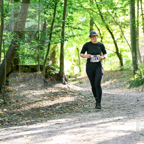 28.09.2025 - 33. Volkslauf durch das schöne Alstertal Dr. Thomas Lammeyer http://msf.ph/oto/8964181 28.09.2025 11:19:23 Laufen 301 meine-sportfotos.de