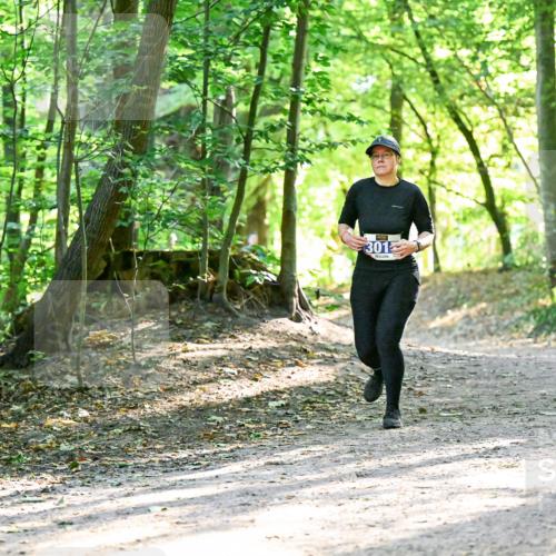 28.09.2025 - 33. Volkslauf durch das schöne Alstertal Dr. Thomas Lammeyer http://msf.ph/oto/8964182 28.09.2025 11:19:24 Laufen 301 meine-sportfotos.de