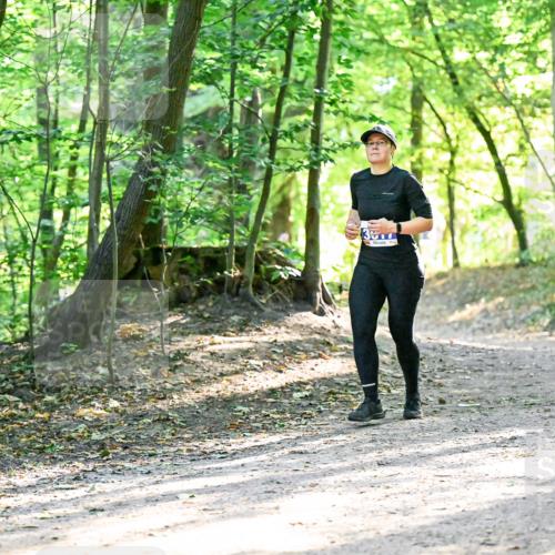 28.09.2025 - 33. Volkslauf durch das schöne Alstertal Dr. Thomas Lammeyer http://msf.ph/oto/8964183 28.09.2025 11:19:24 Laufen  meine-sportfotos.de