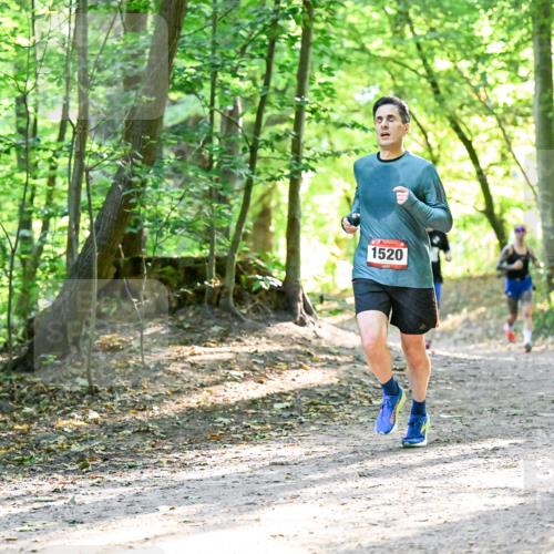 28.09.2025 - 33. Volkslauf durch das schöne Alstertal Dr. Thomas Lammeyer http://msf.ph/oto/8964209 28.09.2025 11:19:32 Laufen 1520 meine-sportfotos.de