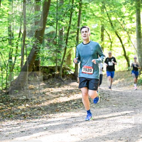 28.09.2025 - 33. Volkslauf durch das schöne Alstertal Dr. Thomas Lammeyer http://msf.ph/oto/8964211 28.09.2025 11:19:32 Laufen 1520 meine-sportfotos.de