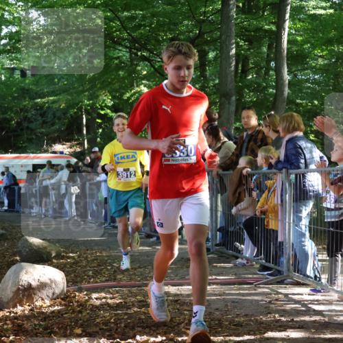 28.09.2025 - 33. Volkslauf durch das schöne Alstertal Strokosch-Dieckow http://msf.ph/oto/8964229 28.09.2025 11:11:42 Ziel 3330, 3912 meine-sportfotos.de