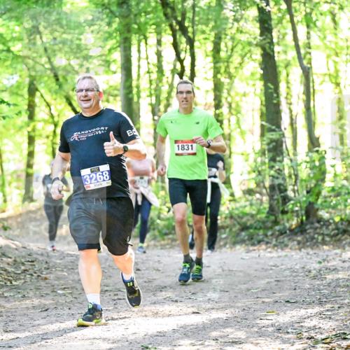 28.09.2025 - 33. Volkslauf durch das schöne Alstertal Dr. Thomas Lammeyer http://msf.ph/oto/8964270 28.09.2025 11:19:46 Laufen 3267, 2023, 3268, 1831 meine-sportfotos.de