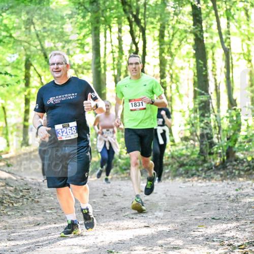 28.09.2025 - 33. Volkslauf durch das schöne Alstertal Dr. Thomas Lammeyer http://msf.ph/oto/8964271 28.09.2025 11:19:46 Laufen 3267, 2023, 3268, 1831, 5 meine-sportfotos.de