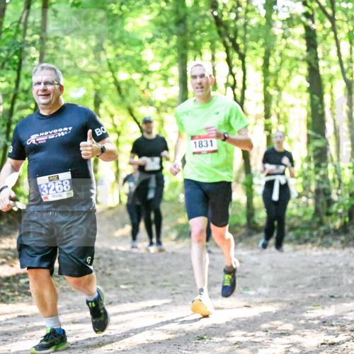 28.09.2025 - 33. Volkslauf durch das schöne Alstertal Dr. Thomas Lammeyer http://msf.ph/oto/8964273 28.09.2025 11:19:47 Laufen 3267, 3, 3268, 1831 meine-sportfotos.de