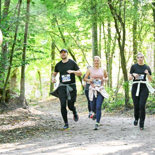 28.09.2025 - 33. Volkslauf durch das schöne Alstertal Dr. Thomas Lammeyer http://msf.ph/oto/8964279 28.09.2025 11:19:49 Laufen 3047, 3253 meine-sportfotos.de