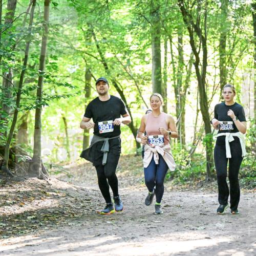 28.09.2025 - 33. Volkslauf durch das schöne Alstertal Dr. Thomas Lammeyer http://msf.ph/oto/8964280 28.09.2025 11:19:49 Laufen 3047, 3253, 3028 meine-sportfotos.de