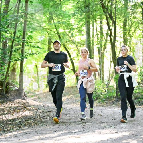 28.09.2025 - 33. Volkslauf durch das schöne Alstertal Dr. Thomas Lammeyer http://msf.ph/oto/8964281 28.09.2025 11:19:49 Laufen 3047, 3253, 3028 meine-sportfotos.de