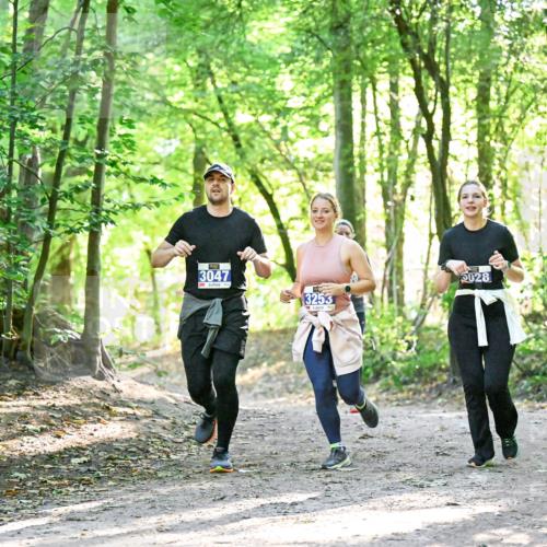 28.09.2025 - 33. Volkslauf durch das schöne Alstertal Dr. Thomas Lammeyer http://msf.ph/oto/8964282 28.09.2025 11:19:49 Laufen 3047, 3253, 028 meine-sportfotos.de