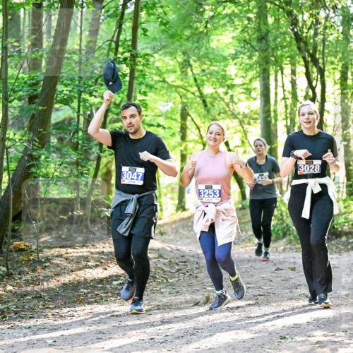 28.09.2025 - 33. Volkslauf durch das schöne Alstertal Dr. Thomas Lammeyer http://msf.ph/oto/8964289 28.09.2025 11:19:50 Laufen 3047, 3253, 3028 meine-sportfotos.de