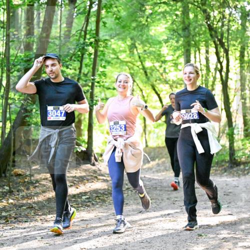 28.09.2025 - 33. Volkslauf durch das schöne Alstertal Dr. Thomas Lammeyer http://msf.ph/oto/8964294 28.09.2025 11:19:50 Laufen 3047, 3253, 3028 meine-sportfotos.de