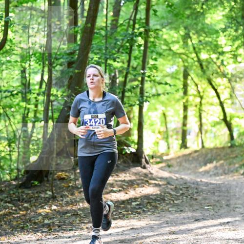 28.09.2025 - 33. Volkslauf durch das schöne Alstertal Dr. Thomas Lammeyer http://msf.ph/oto/8964300 28.09.2025 11:19:53 Laufen 3420 meine-sportfotos.de