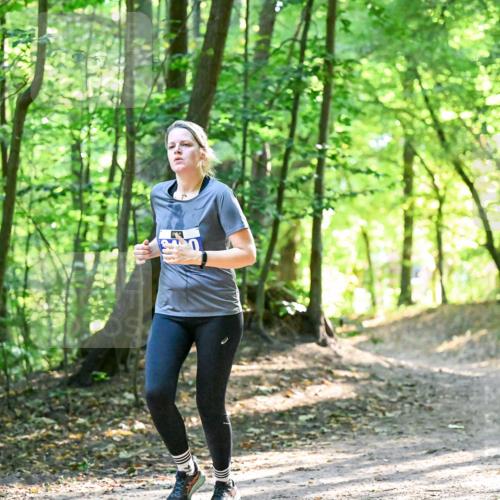 28.09.2025 - 33. Volkslauf durch das schöne Alstertal Dr. Thomas Lammeyer http://msf.ph/oto/8964301 28.09.2025 11:19:53 Laufen  meine-sportfotos.de