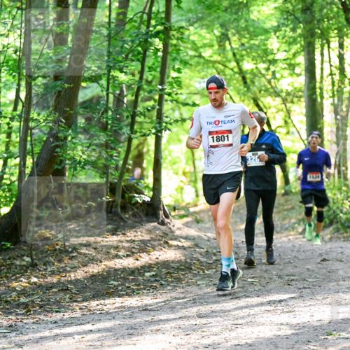 28.09.2025 - 33. Volkslauf durch das schöne Alstertal Dr. Thomas Lammeyer http://msf.ph/oto/8964321 28.09.2025 11:20:16 Laufen 1801, 1529 meine-sportfotos.de