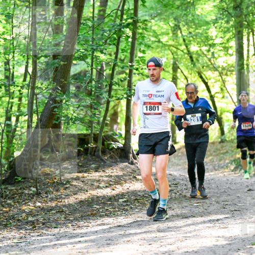 28.09.2025 - 33. Volkslauf durch das schöne Alstertal Dr. Thomas Lammeyer http://msf.ph/oto/8964323 28.09.2025 11:20:16 Laufen 1801, 3281, 1529 meine-sportfotos.de