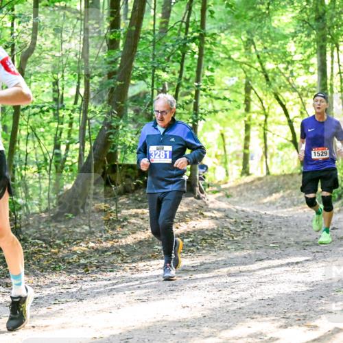 28.09.2025 - 33. Volkslauf durch das schöne Alstertal Dr. Thomas Lammeyer http://msf.ph/oto/8964334 28.09.2025 11:20:18 Laufen 18, 3281, 1529 meine-sportfotos.de