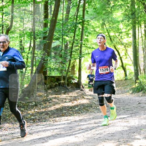 28.09.2025 - 33. Volkslauf durch das schöne Alstertal Dr. Thomas Lammeyer http://msf.ph/oto/8964341 28.09.2025 11:20:19 Laufen 328, 1529 meine-sportfotos.de