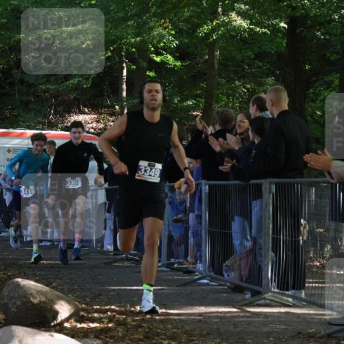 28.09.2025 - 33. Volkslauf durch das schöne Alstertal Strokosch-Dieckow http://msf.ph/oto/8964374 28.09.2025 11:12:43 Ziel 3215, 3349, 3368, 3374, 3392, 3416 meine-sportfotos.de