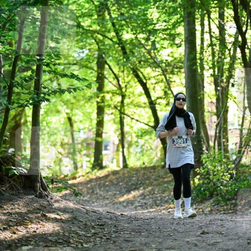 28.09.2025 - 33. Volkslauf durch das schöne Alstertal Dr. Thomas Lammeyer http://msf.ph/oto/8964376 28.09.2025 11:20:27 Laufen 3901 meine-sportfotos.de